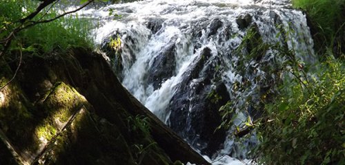 cascade côté du moulin